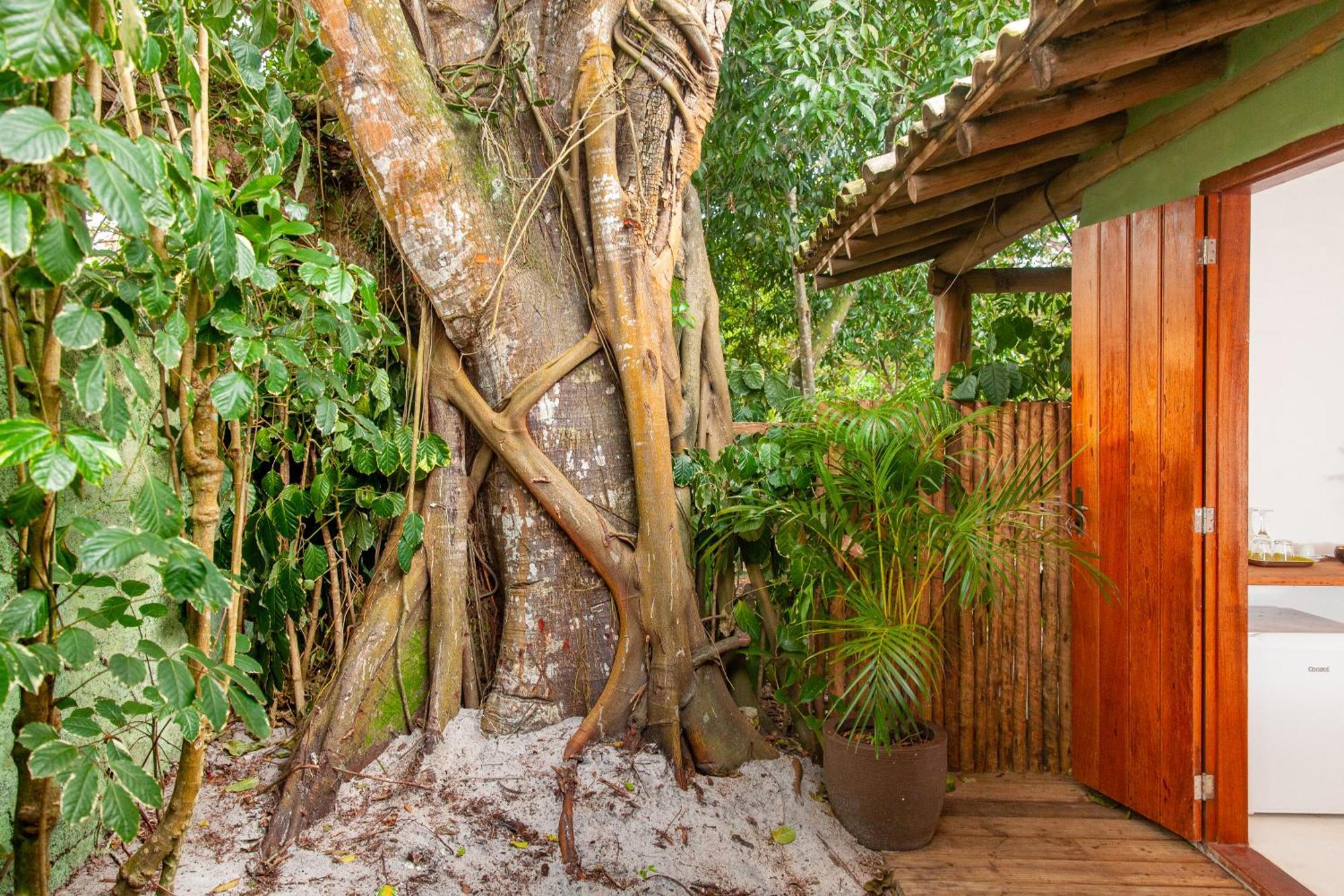 Pousada Mangue Sereno Caraíva 外观 照片
