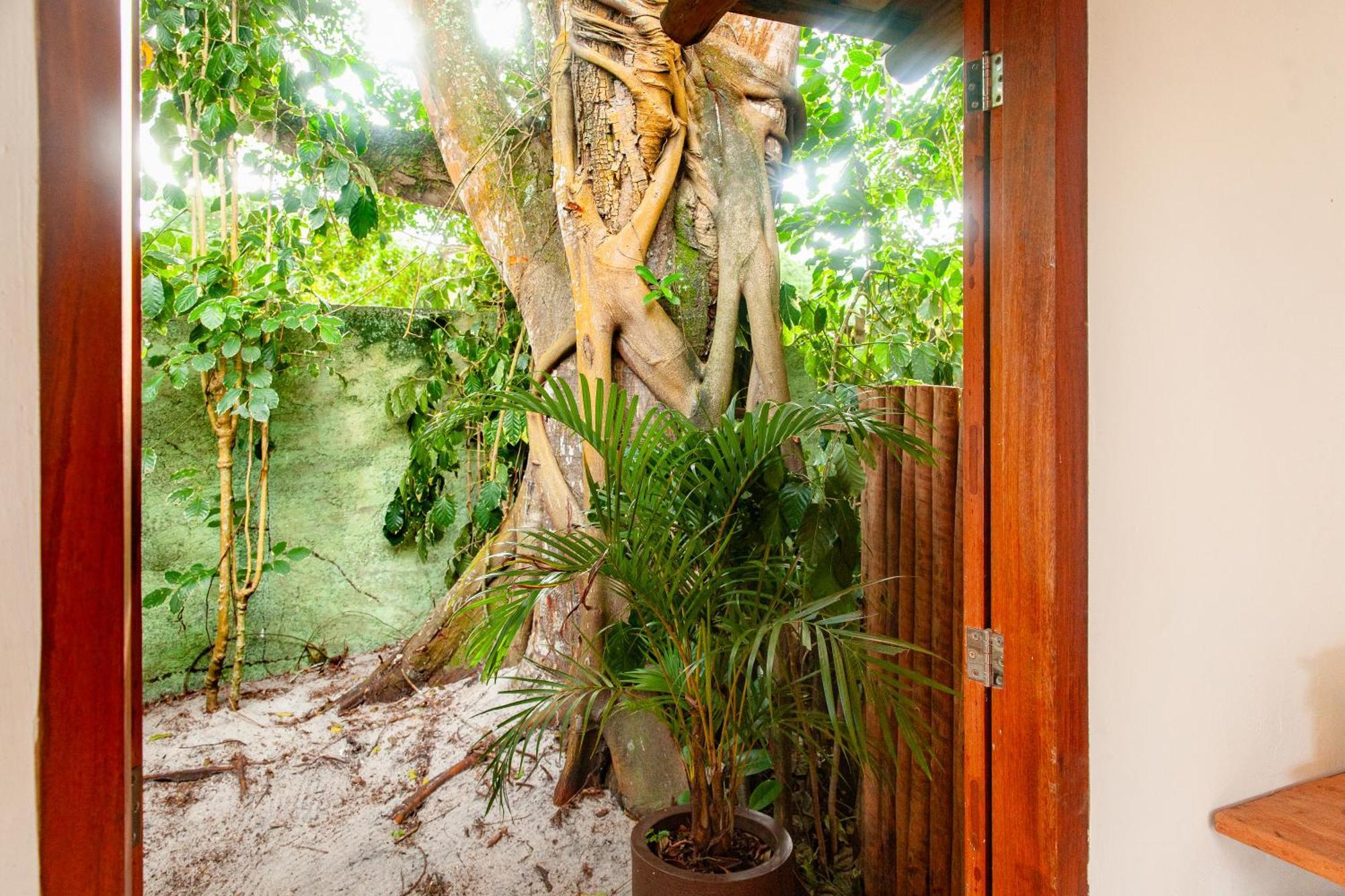 Pousada Mangue Sereno Caraíva 外观 照片